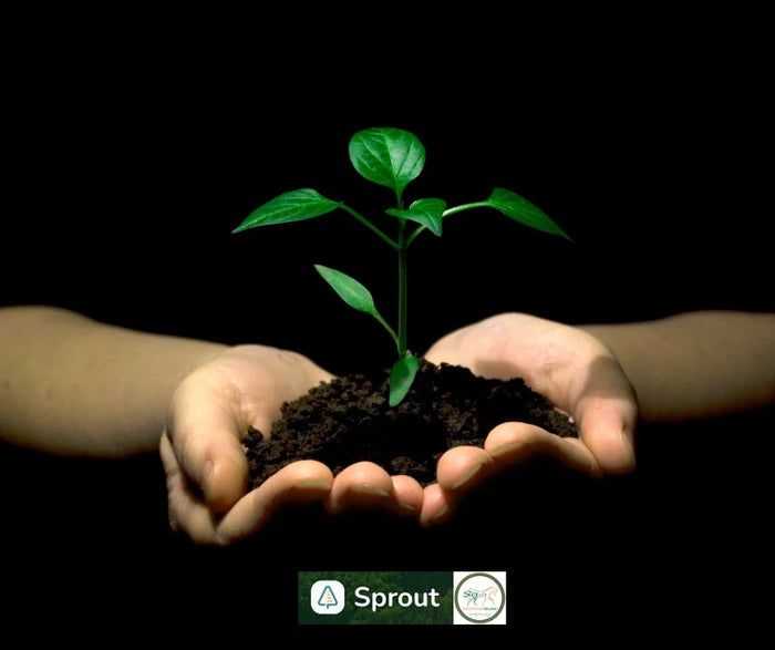 Swish Equestrian Ireland Doing Something Positive for The Environment