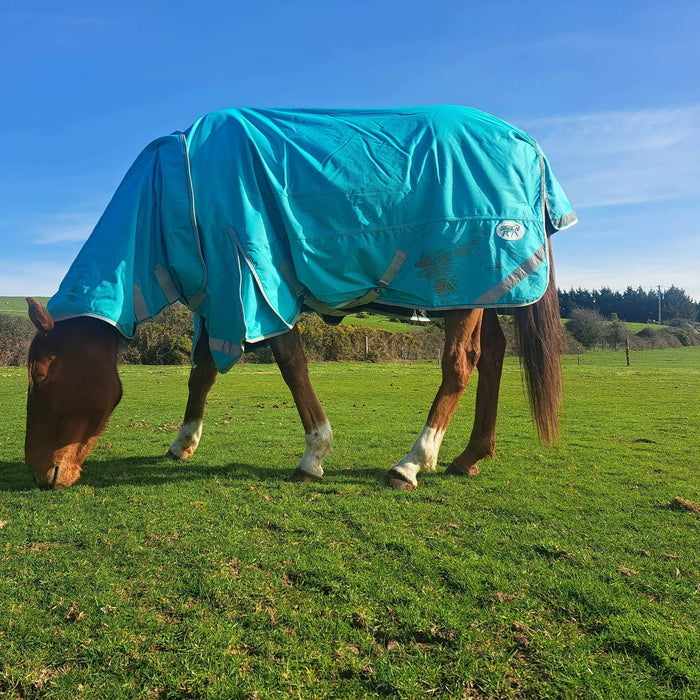 Horse Rugging Tips