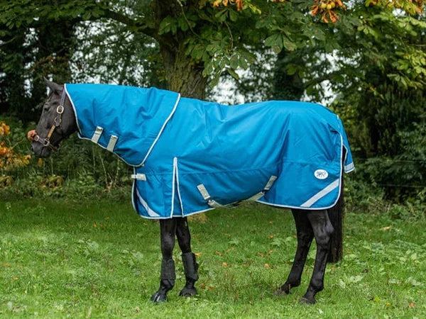 Choosing the correct horse rug