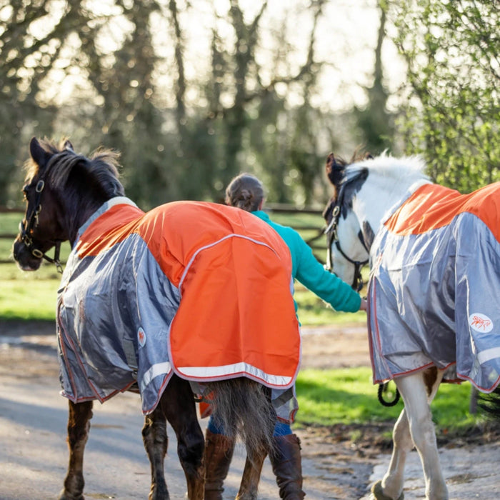 Pony Trekking in Ireland