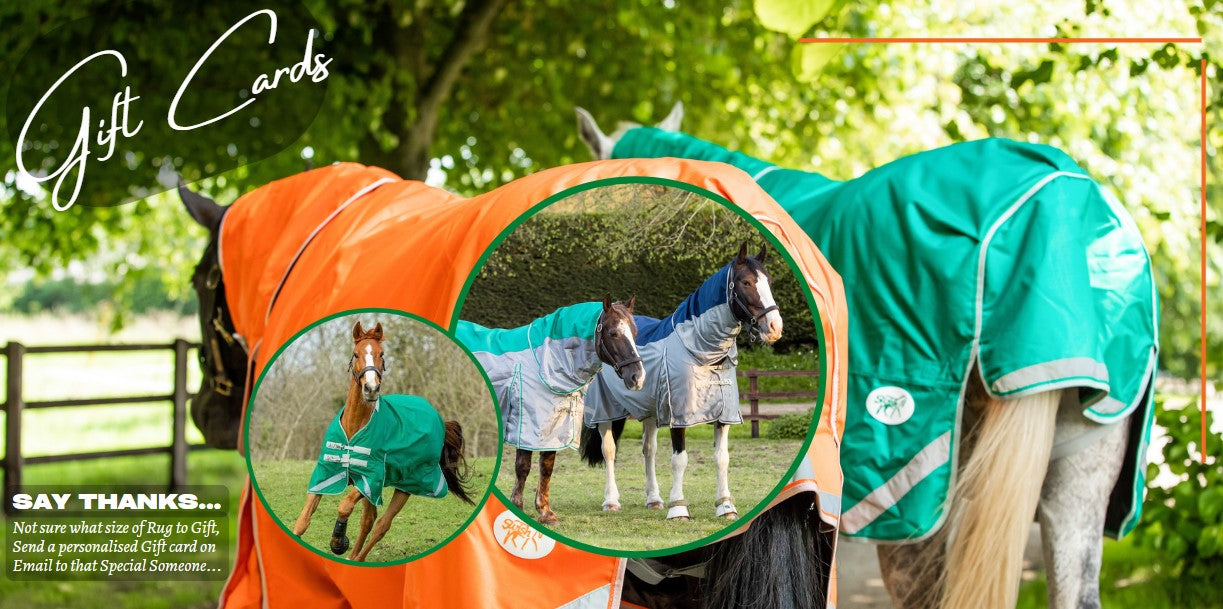 Swish Horse Rugs Gift Card The perfect Gift or Incentive Swish