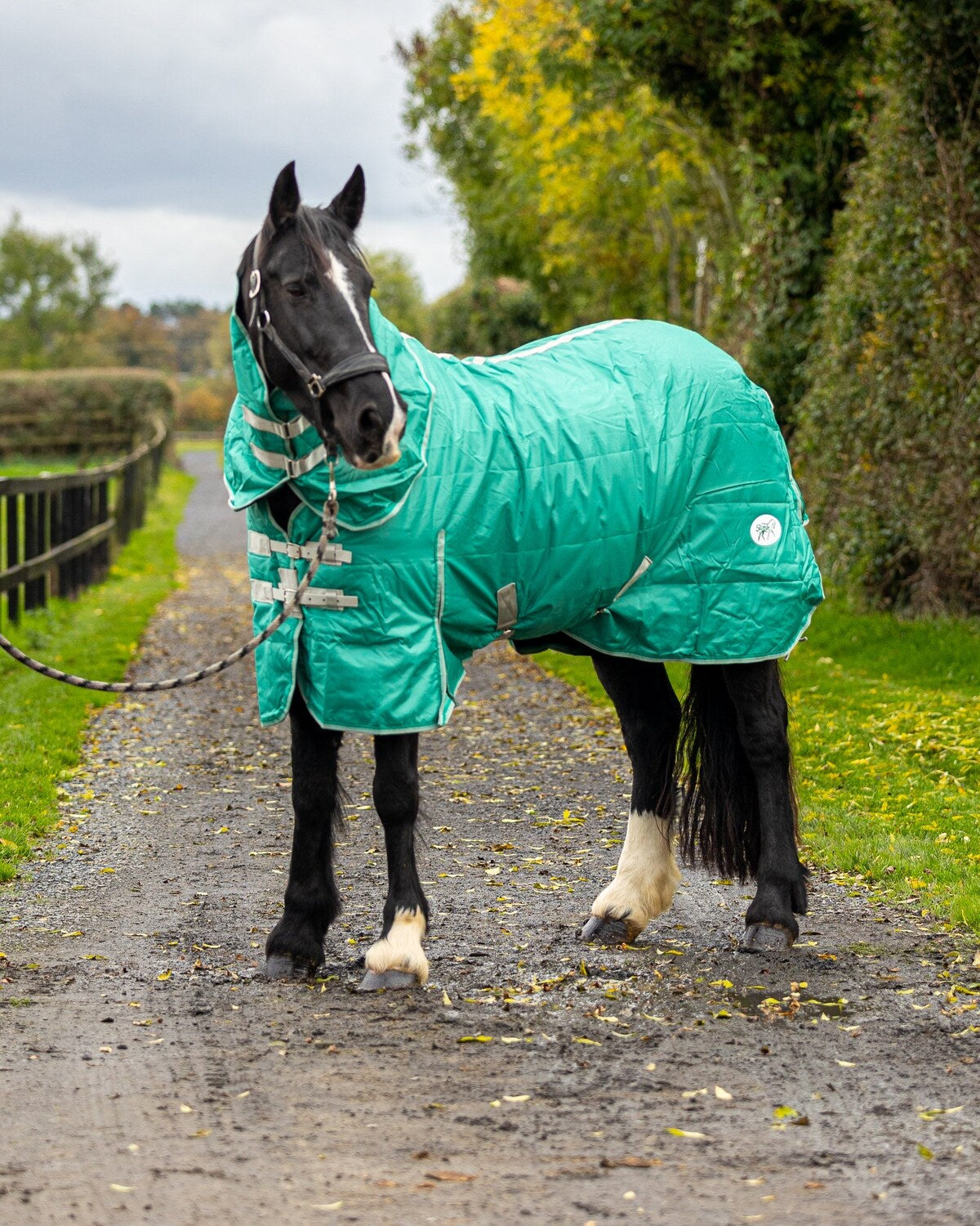 Horse Stable Rugs The best Value for Money Horse Rugs in the market