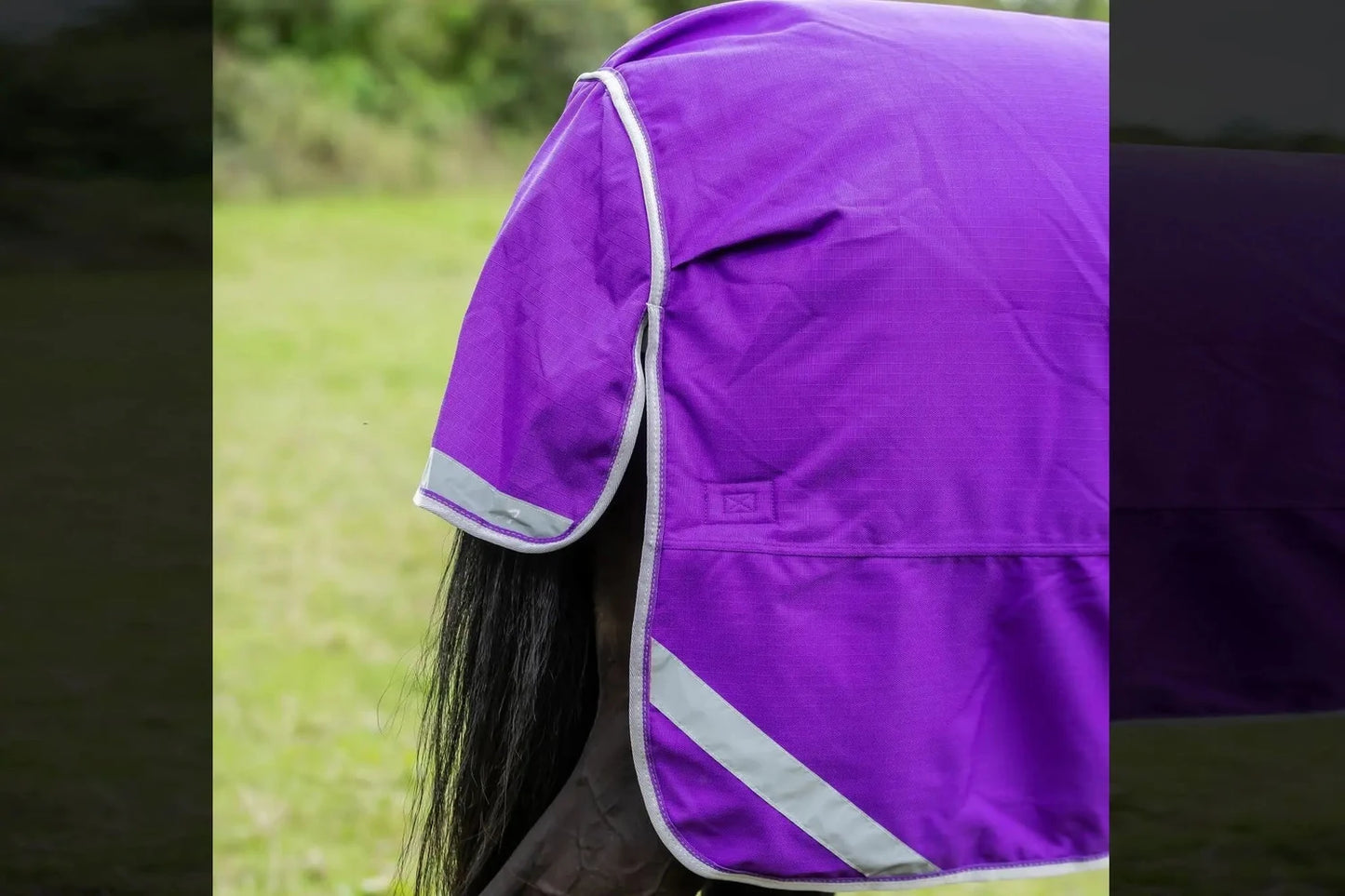 50g Lightweight Horse Turnout Rug with detachable neck - Swish Equestrian Ireland