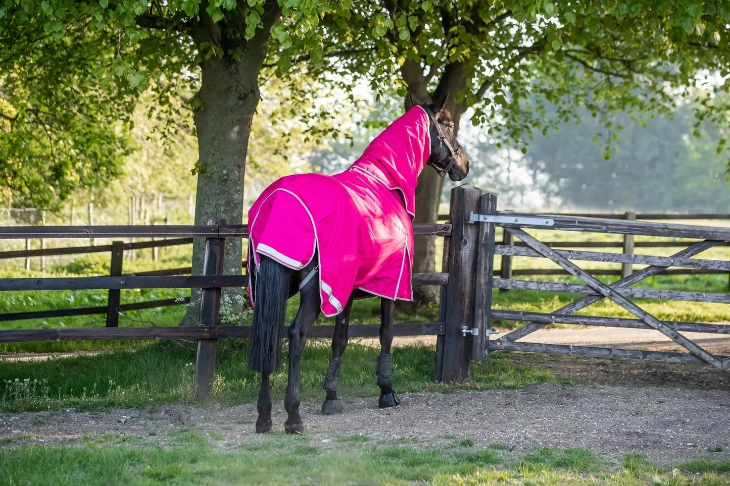 200g Medium Weight Horse Turnout Rug - Dual Use - Pink - Swish Equestrian Ireland
