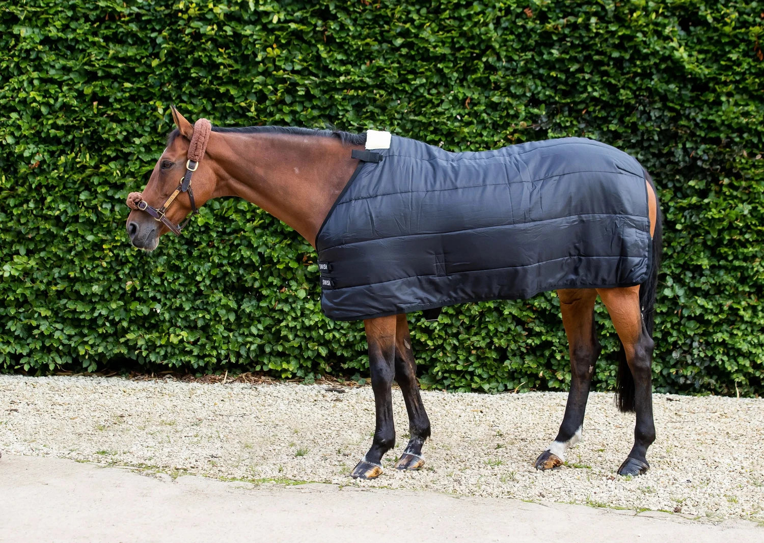 Horse Liner Rug 50g Partner Rug for Turnouts and Stable rugs Swish Equestrian Ireland Limited