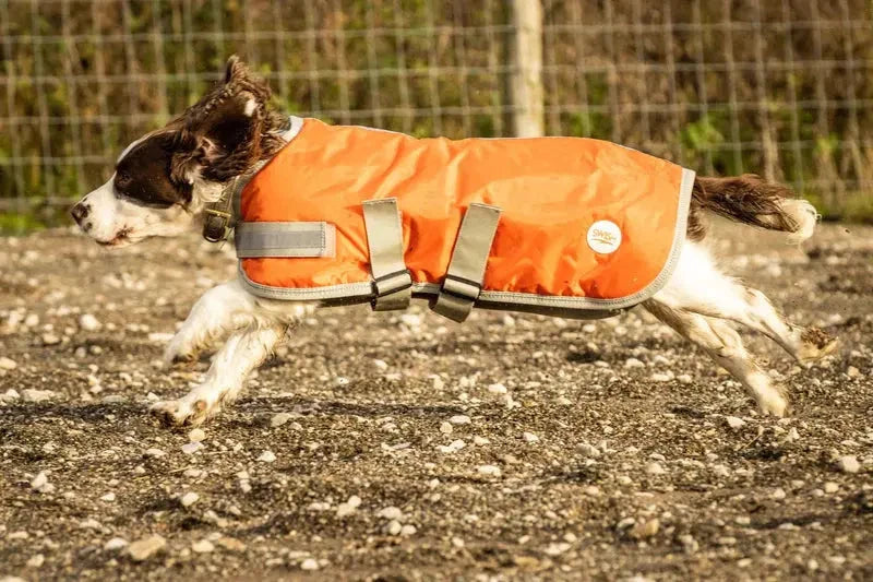 Dog Coat - Orange Swish Equestrian Ireland