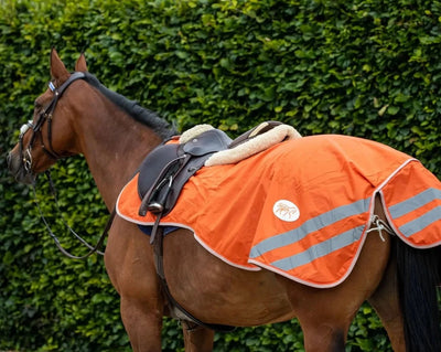 HI-Viz Exercise Sheet - Swish Equestrian Ireland
