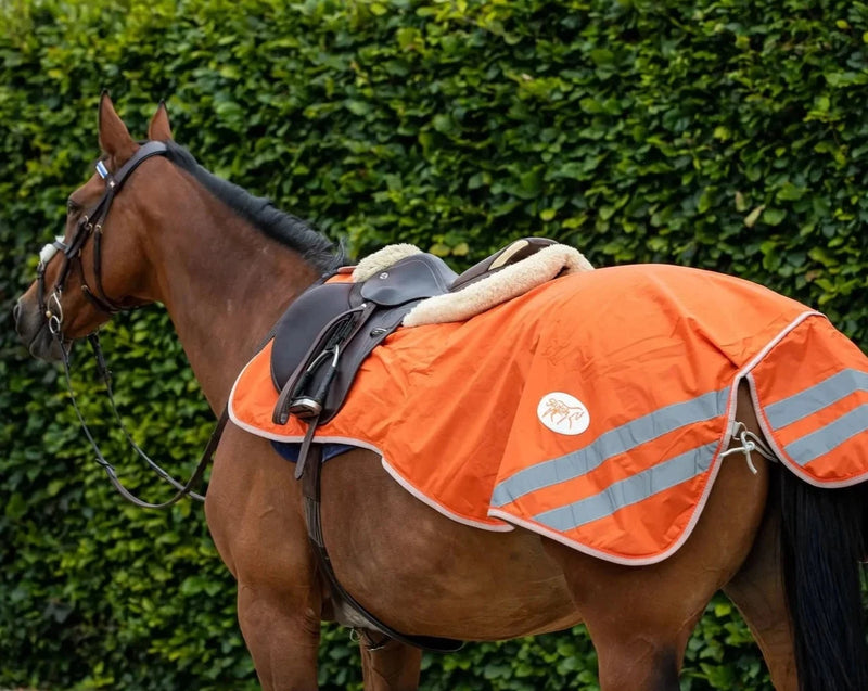 HI-Viz Exercise Sheet - Swish Equestrian Ireland