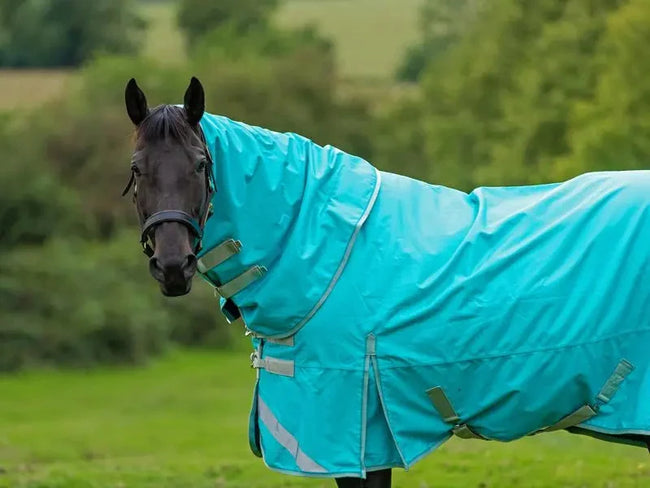 100g Lightweight Horse Turnout Rug - Dual Use - Mint - Swish Equestrian Ireland