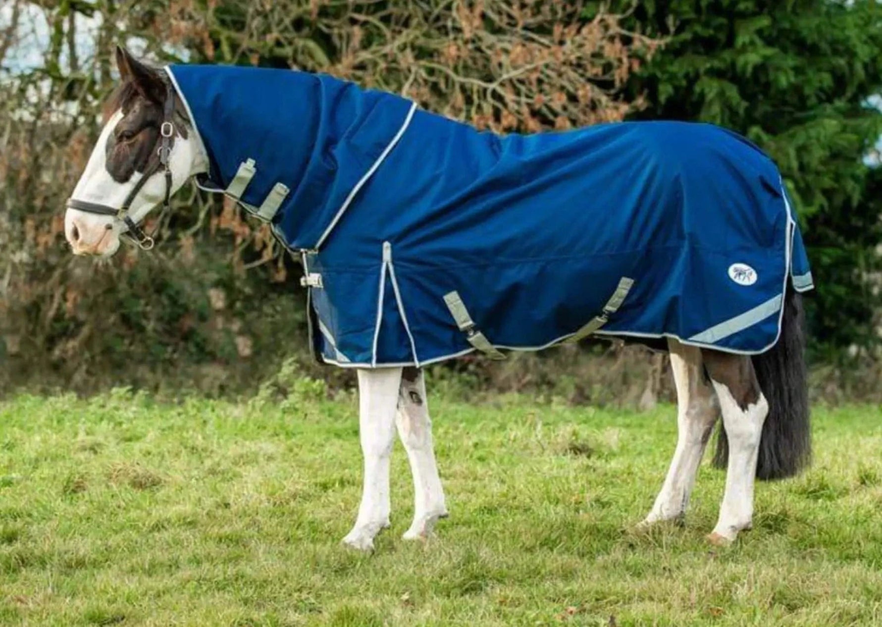 100g Lightweight Horse Turnout Rug with detachable neck Swish