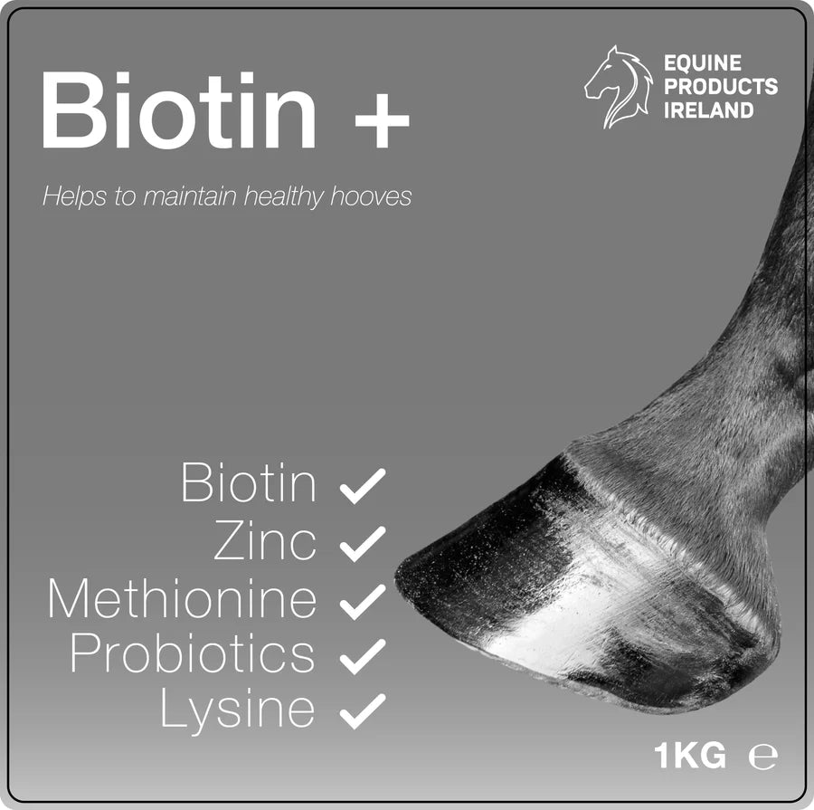 BIOTIN +