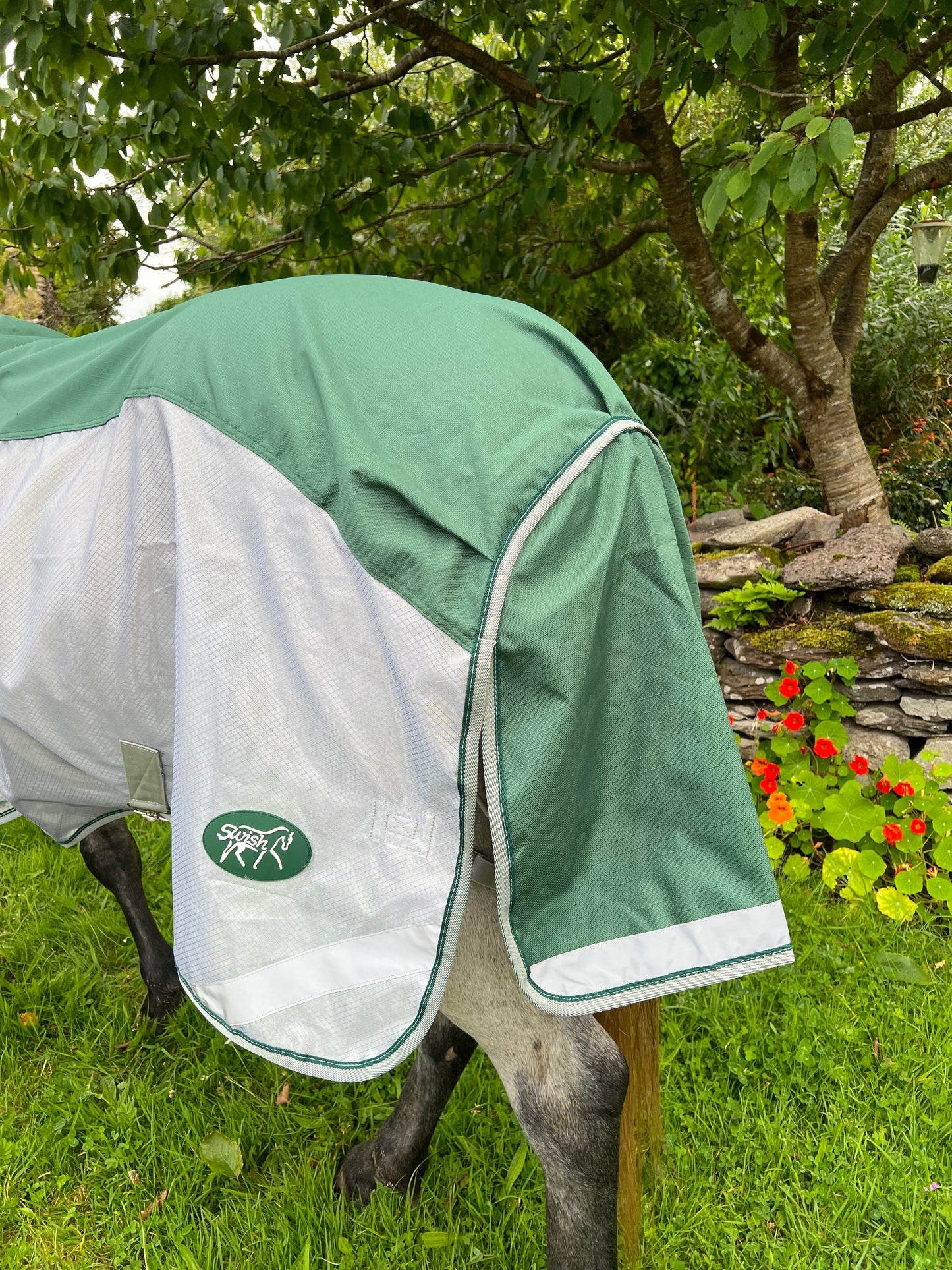 Couverture combinée FLY pour chevaux - Double usage - Verte