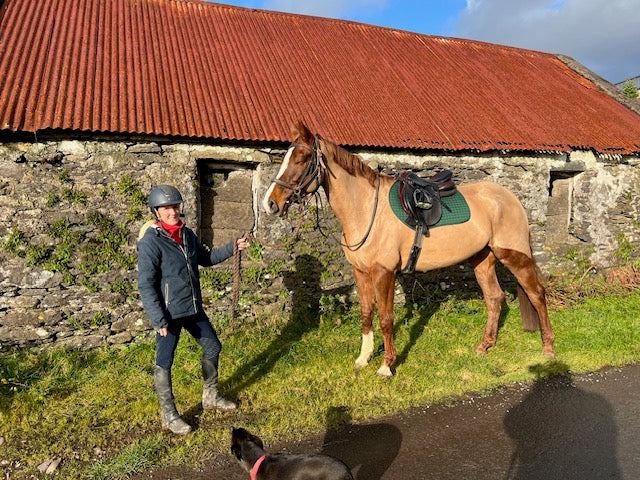 Universal Saddle Pad