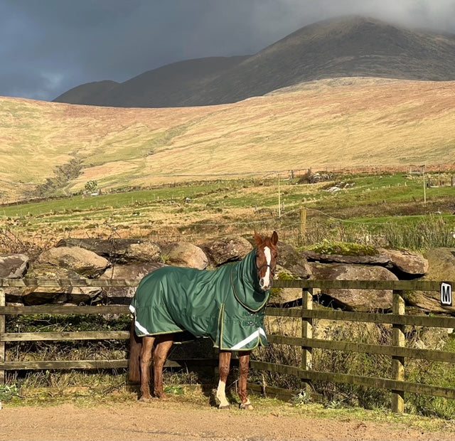 200g Rug - Rathlin Turnout