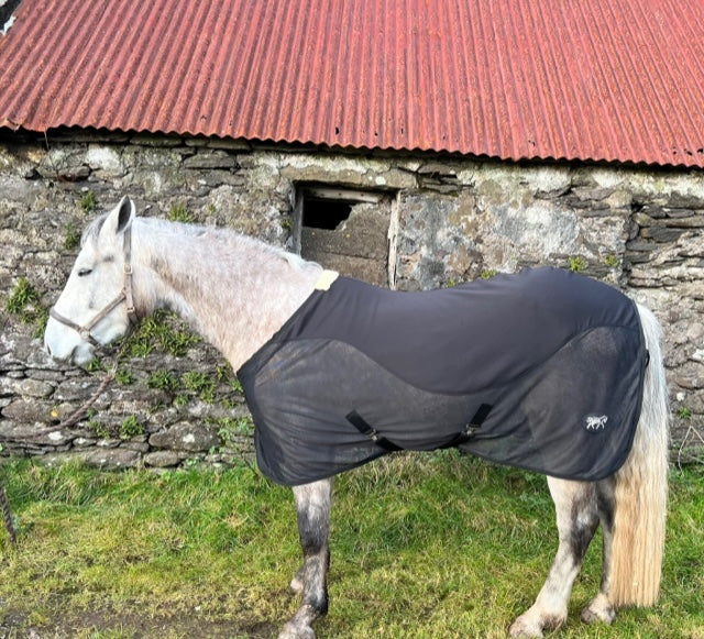 Sooth-Stride Cooler Rug