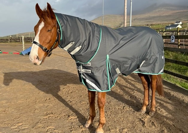 0g Rug - Achill Turnout