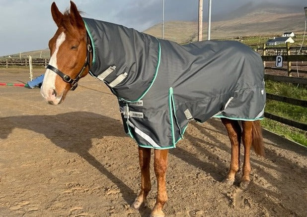 360 g Teppich – Achill Turnout