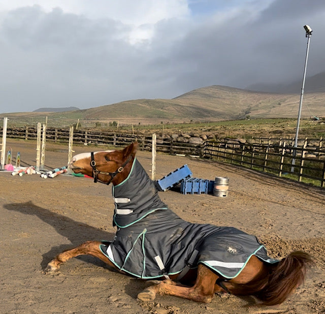 75g Achill Turnout