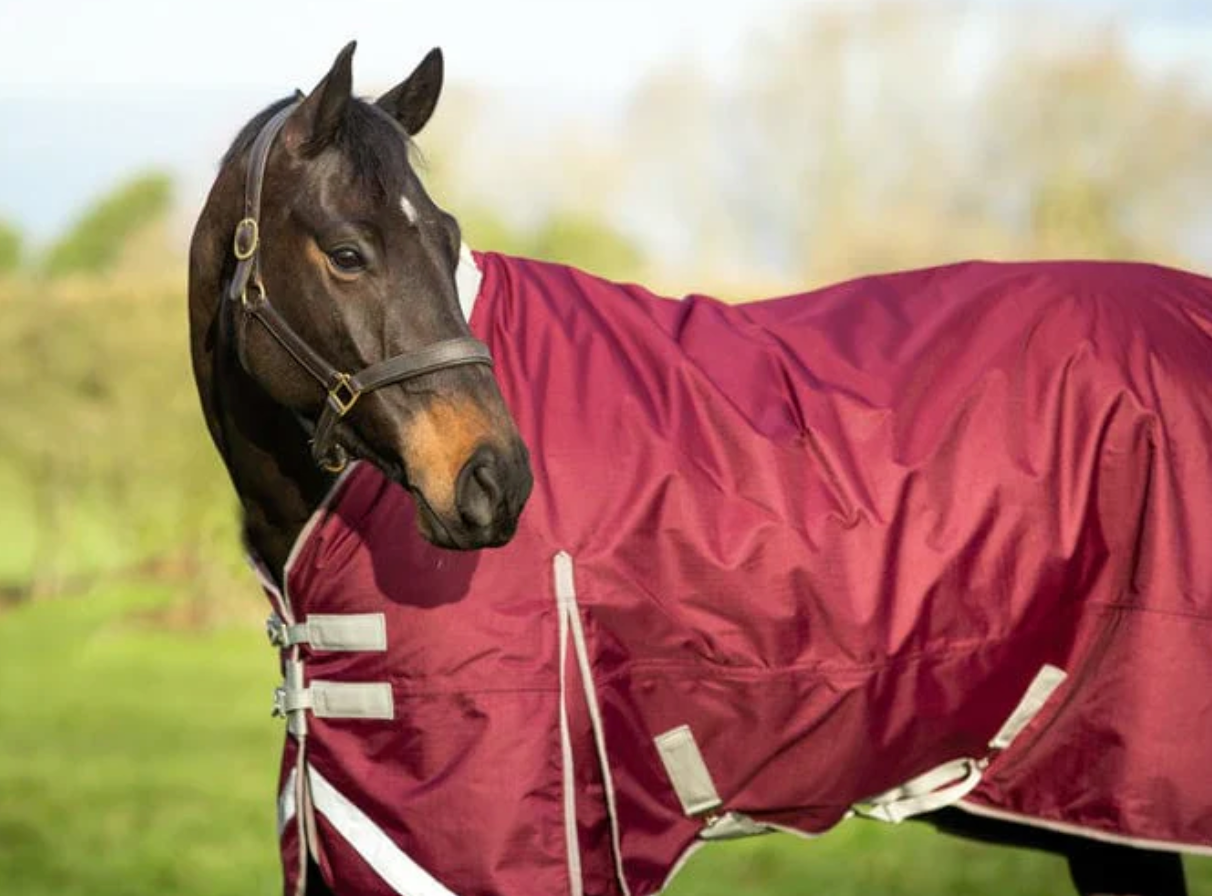 100g Valentia Turnout With detachable Neck - Burgundy