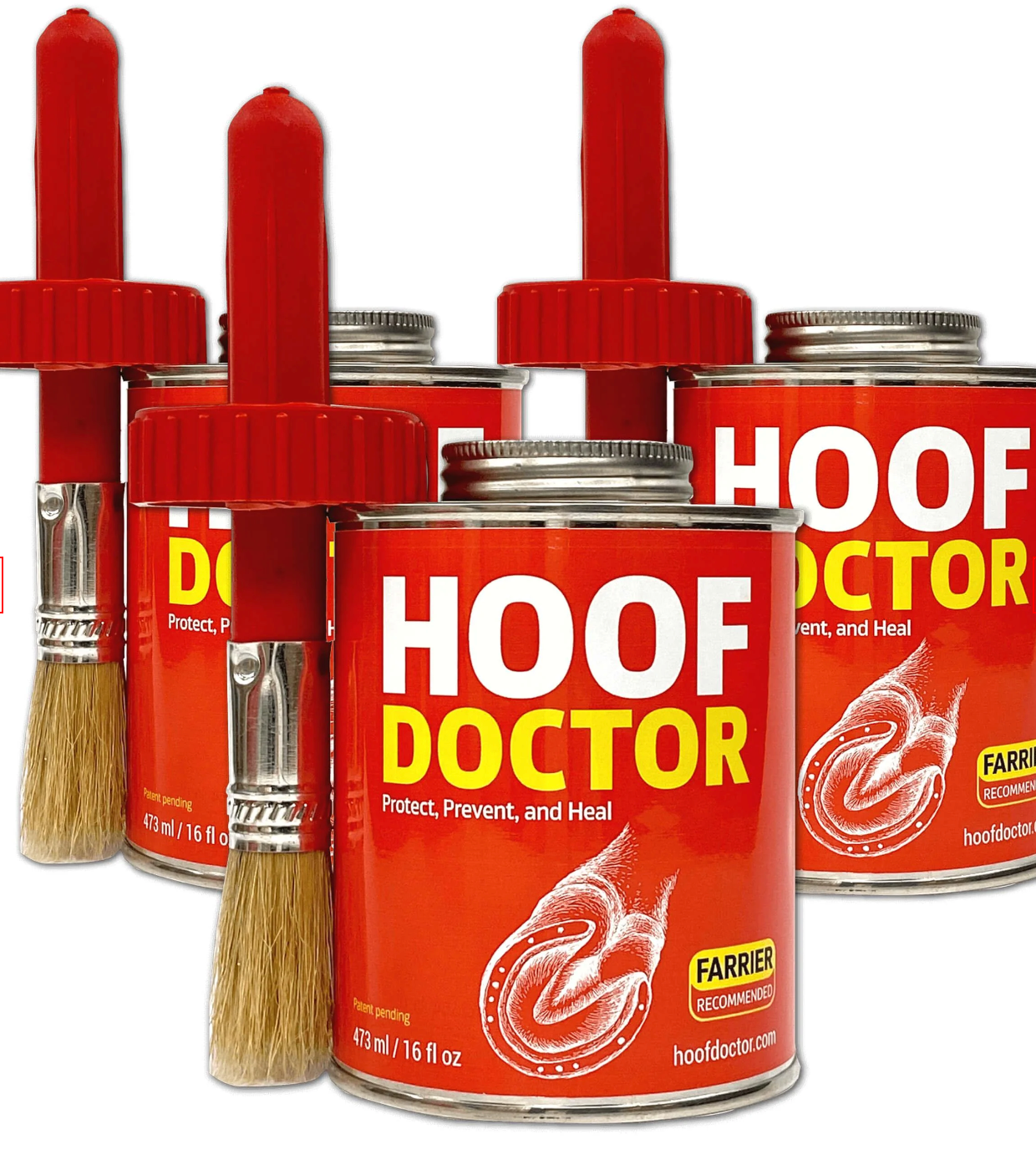 Hoof Doctor
