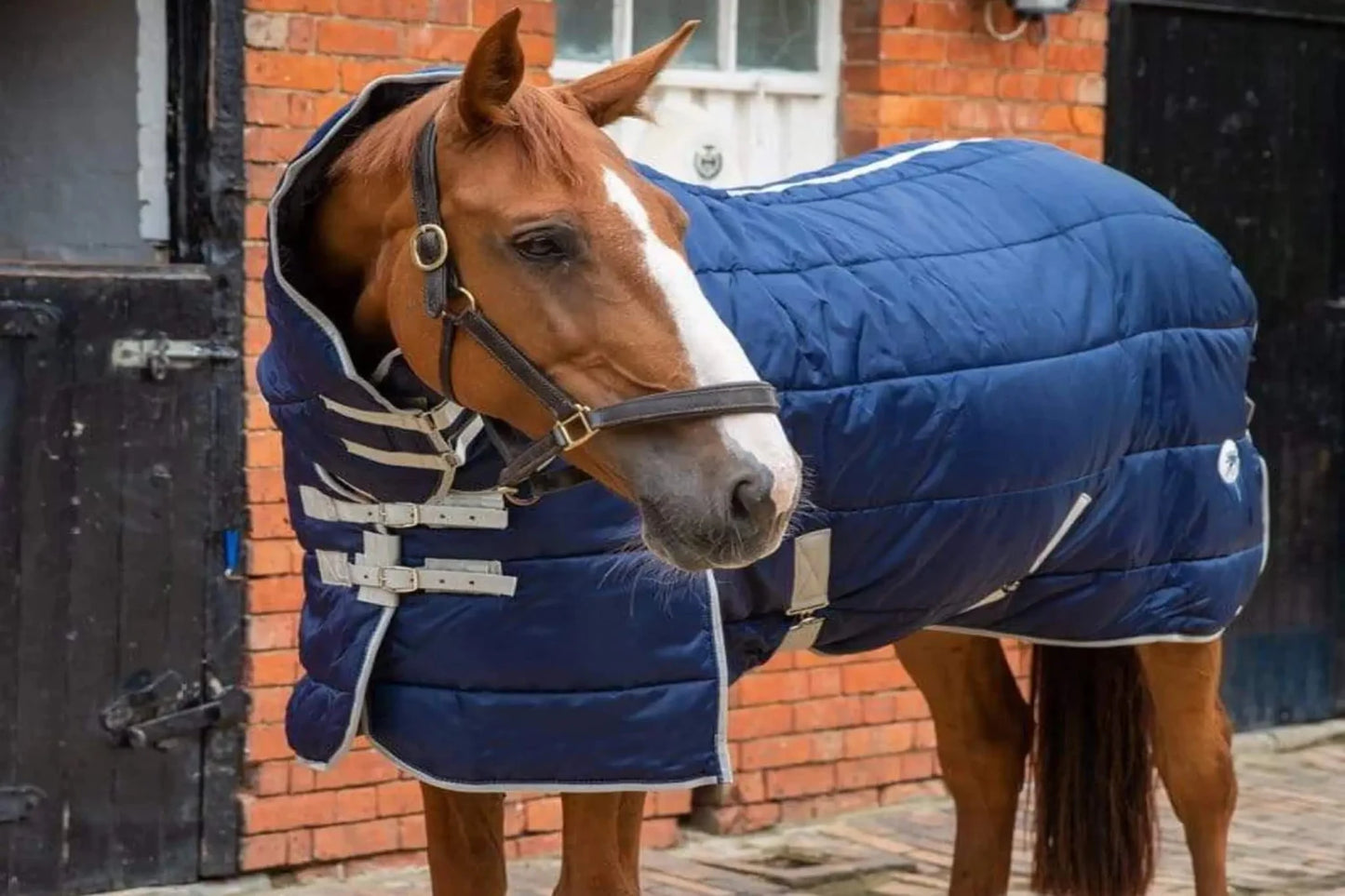 360g Heavy Weight Horse Stable Rug - Navy - Swish Equestrian Ireland