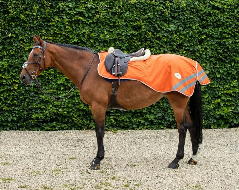 HI-Viz Exercise Sheet - Swish Equestrian Ireland
