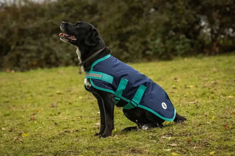 Dog Coat - Navy Swish Equestrian Ireland