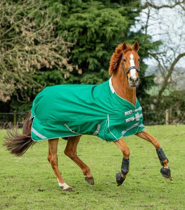 Swish Equestrian Ireland Cold Weather Horse Care Guide