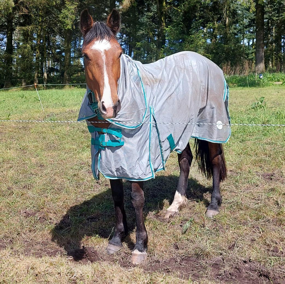 Horse Rugs Brand Swish Equestrian Ireland Swish Equestrian Ireland