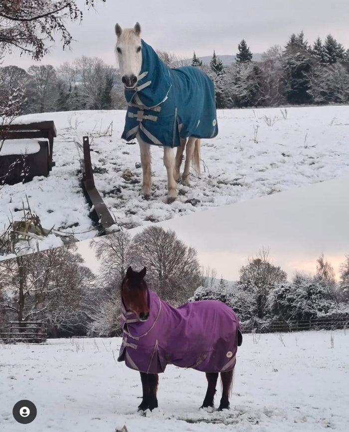 Winter Horse Rugs