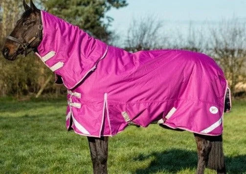 50g Lightweight Horse Turnout Rug - Dual Use - Mulberry - Swish Equestrian Ireland