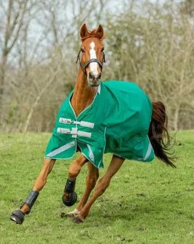 200g Medium Weight Horse Turnout Rug - Dual Use - Green - Swish Equestrian Ireland