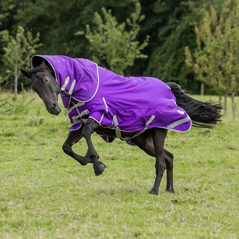0g Lightweight Horse Turnout Rug - Dual Use - Purple - Swish Equestrian Ireland