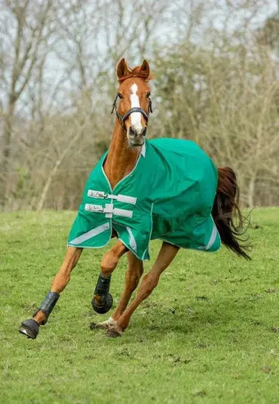 0g Turnout - Green Swish Equestrian Ireland