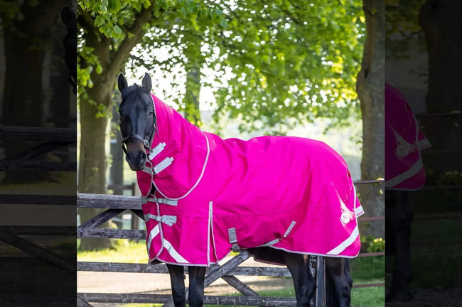 200g Medium Weight Horse Turnout Rug - Dual Use - Pink - Swish Equestrian Ireland