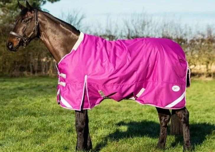 50g Lightweight Horse Turnout Rug - Dual Use - Mulberry - Swish Equestrian Ireland