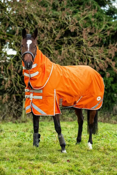 100g Lightweight Horse Turnout Rug - Dual Use - Orange - Swish Equestrian Ireland