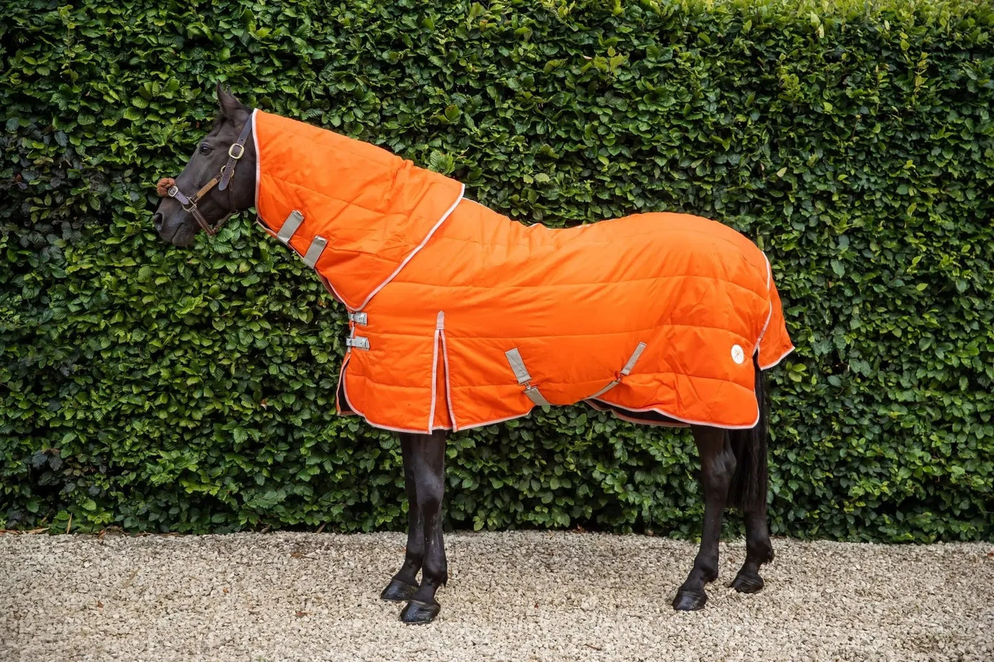 50g Lightweight Horse Stable Rug - Orange - Swish Equestrian Ireland