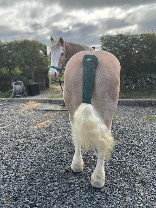 Horse Tail Guard