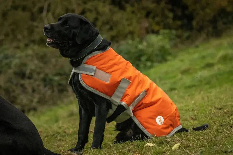 Dog Coat - Orange Swish Equestrian Ireland
