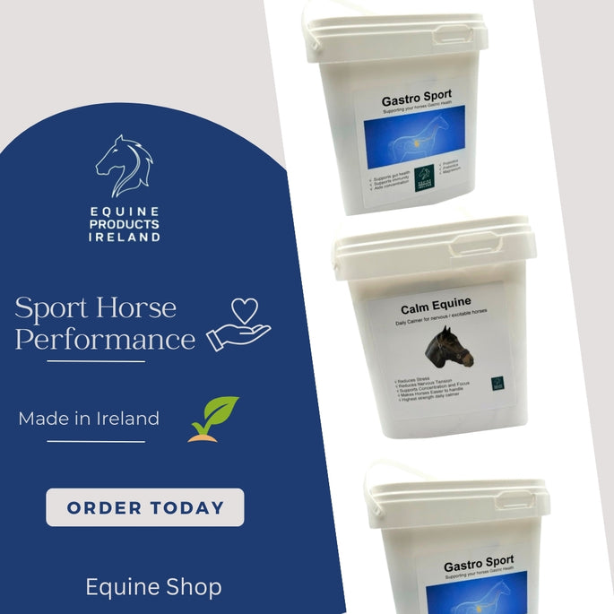 Sport Horse Nutrition 