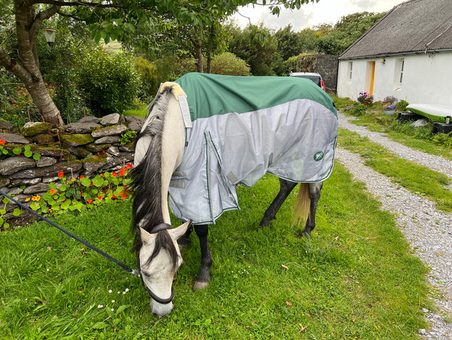 Couverture combinée FLY pour chevaux - Double usage - Verte