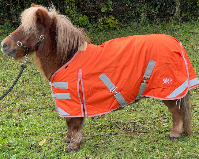 50g Dinky Orange Mini Turnout Rug