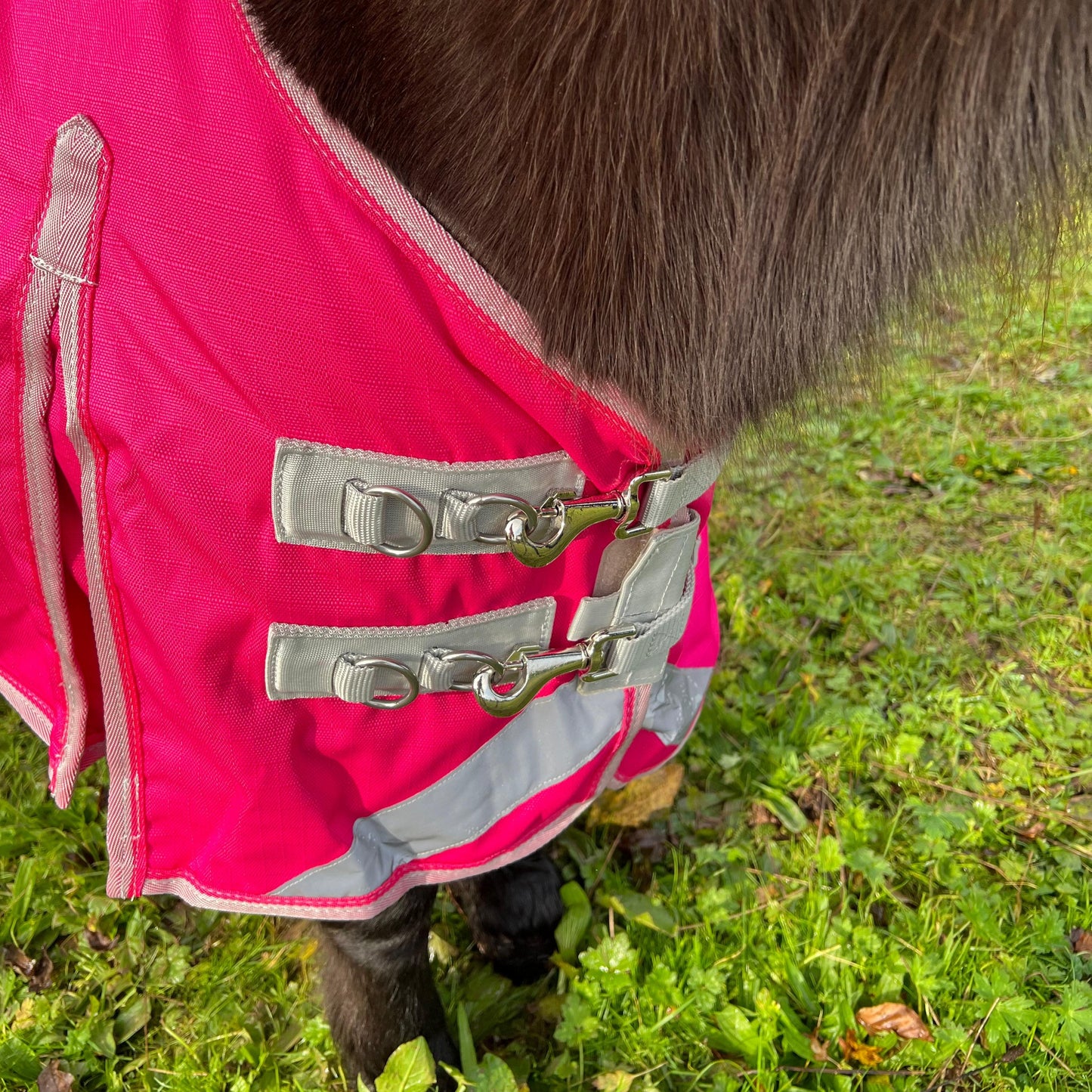 50g Dinky Pink Mini Turnout Rug