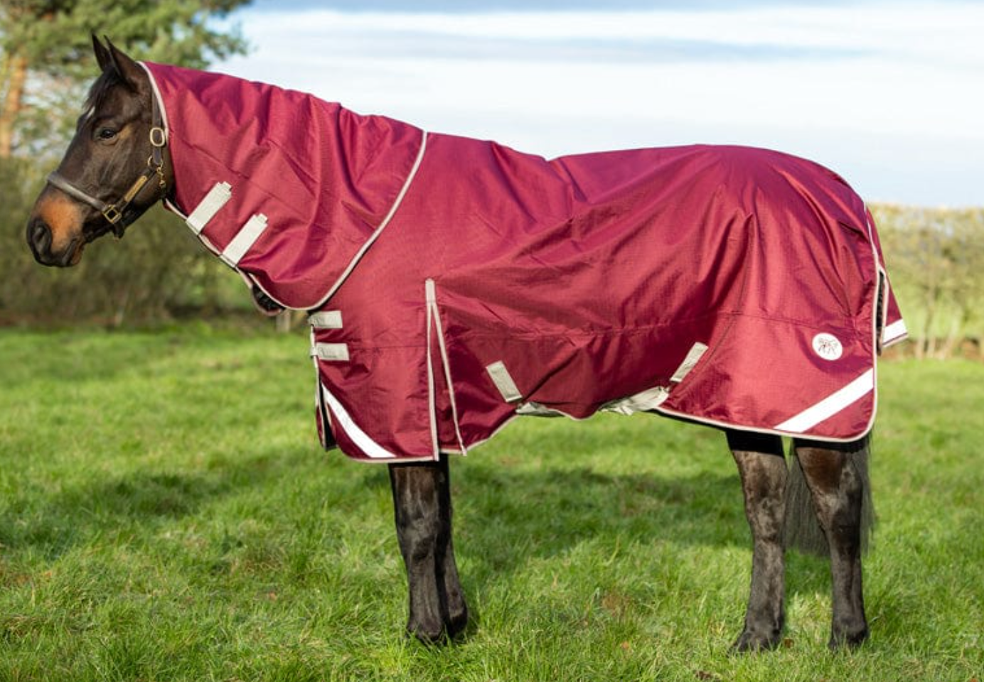 50g Valentia Burgundy Turnout Rug