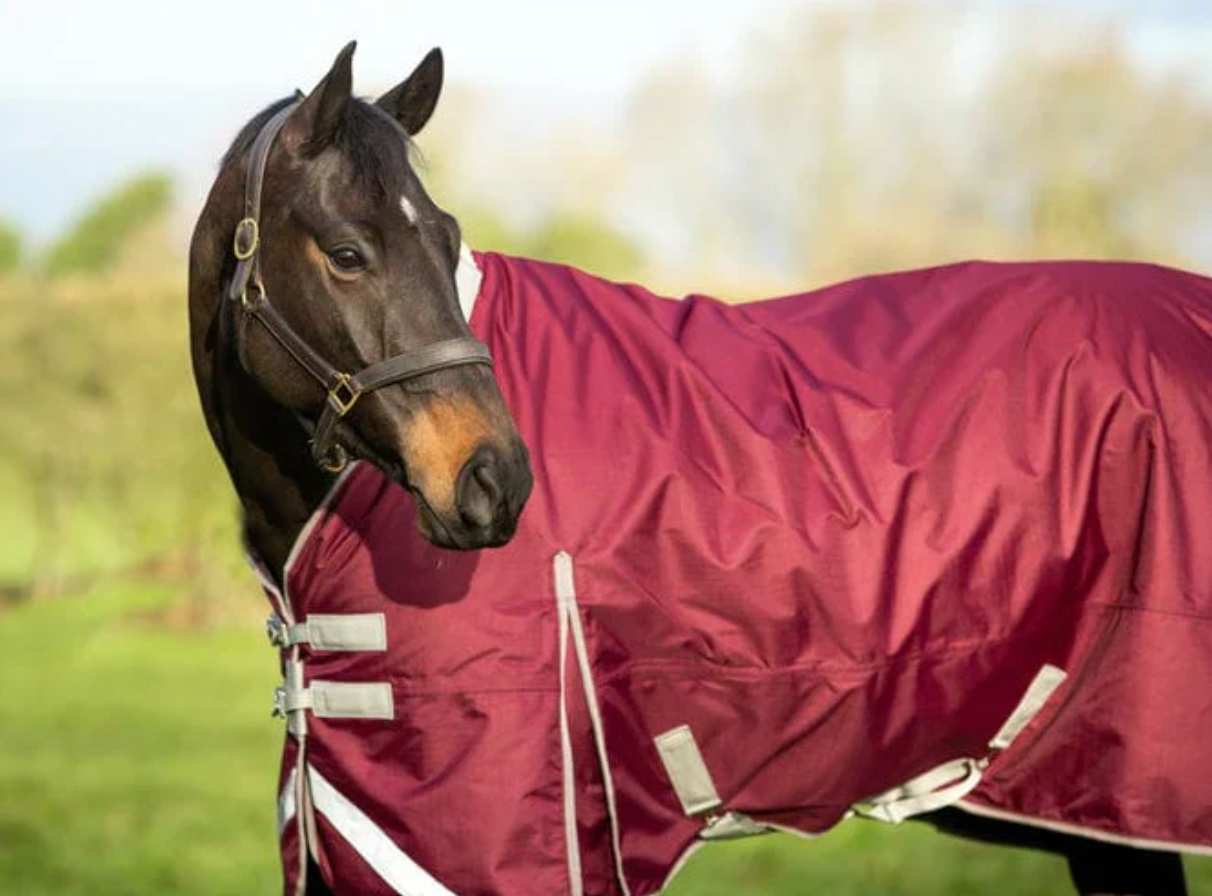 50g Valentia Burgundy Turnout Rug