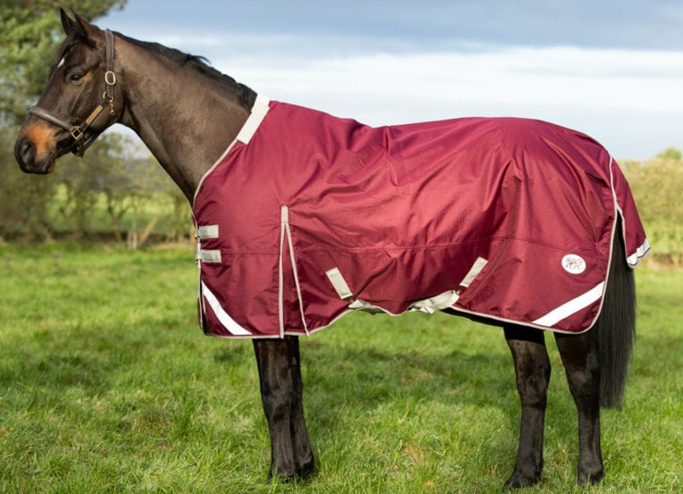 50g Valentia Burgundy Turnout Rug