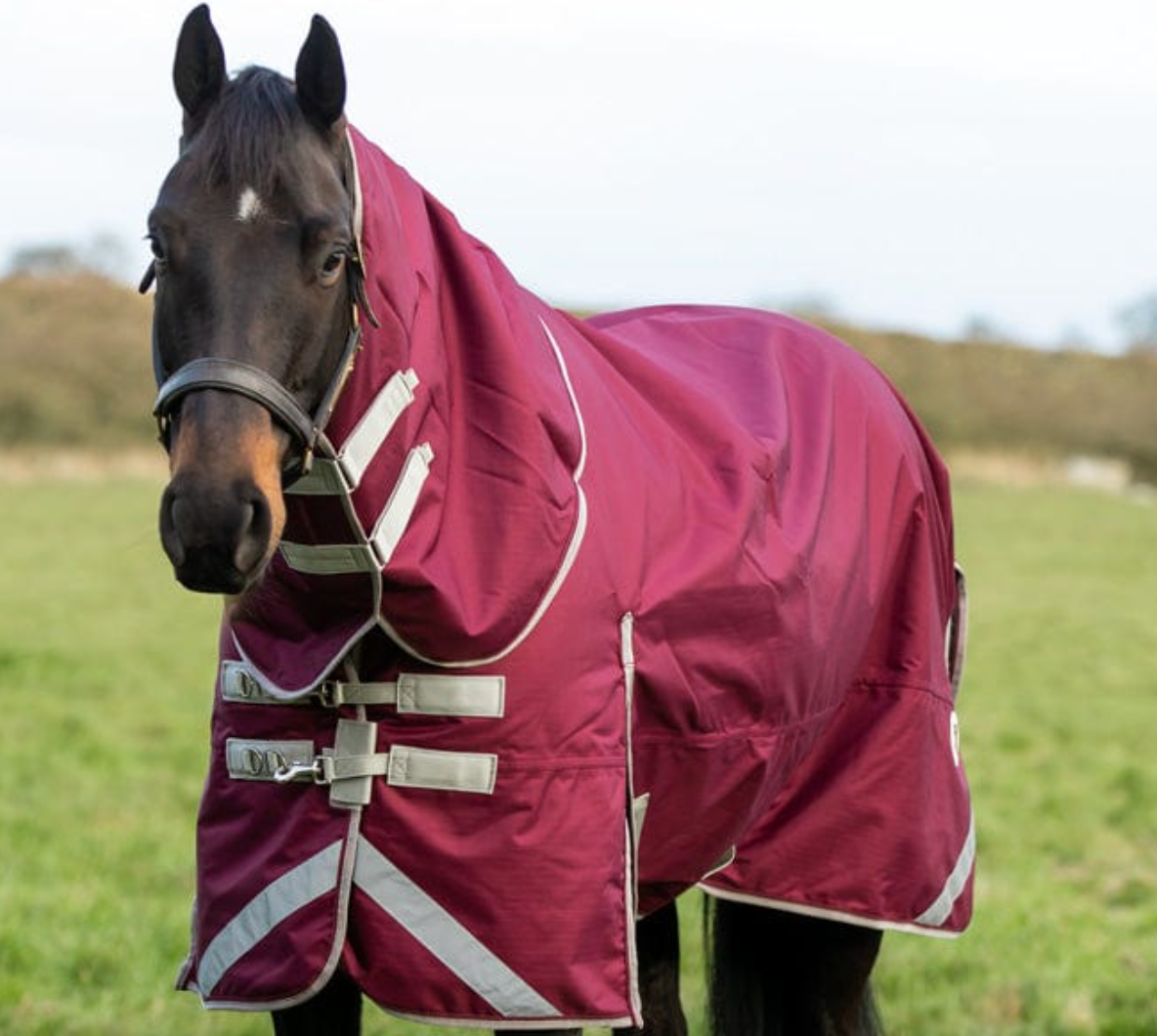 50g Valentia Burgundy Turnout Rug