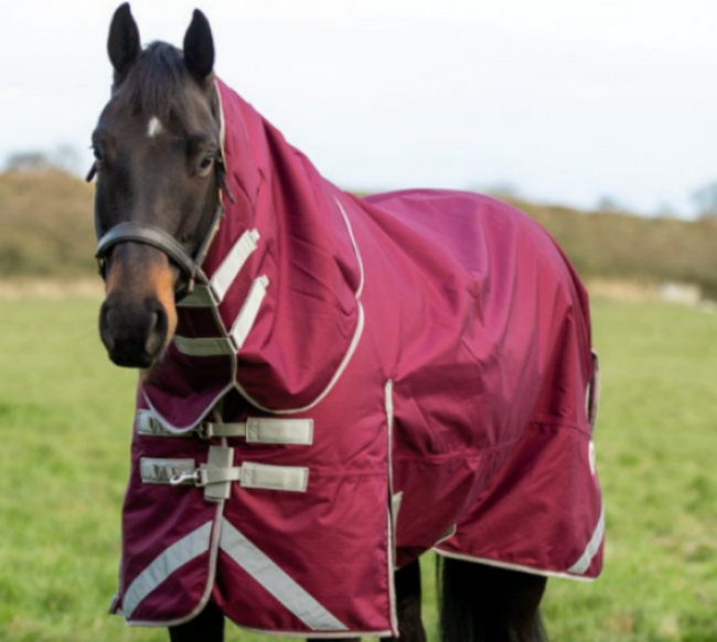 100g Valentia Turnout With detachable Neck - Burgundy