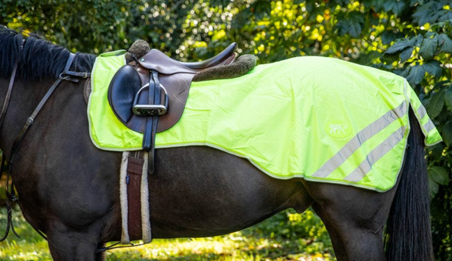 HI-Viz-Übungsblatt